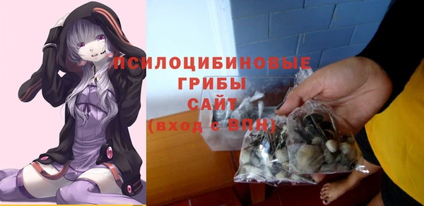 соль курить ск Богданович