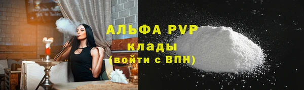 спиды Богородицк