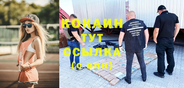 спиды Богородицк