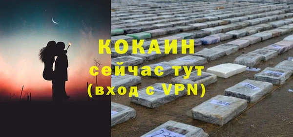 спиды Богородицк