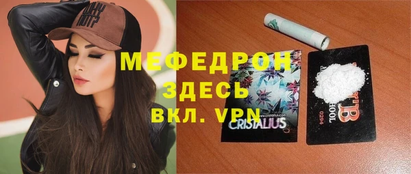 спиды Богородицк
