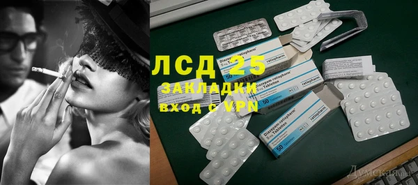 спиды Богородицк