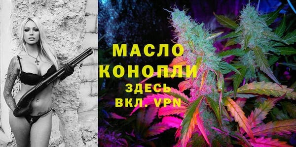 спиды Богородицк
