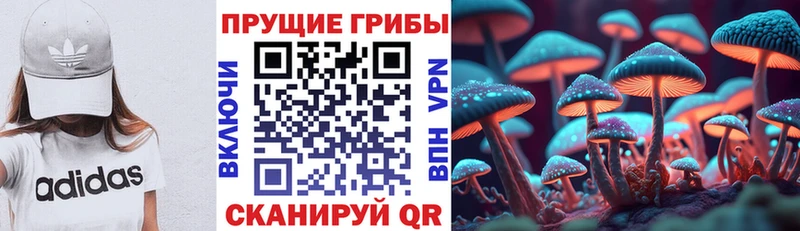 Галлюциногенные грибы MAGIC MUSHROOMS  цена наркотик  Ярцево 
